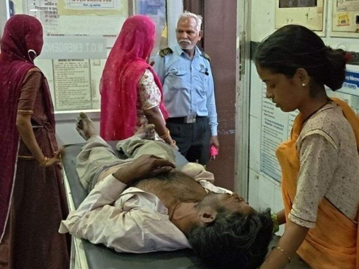 पाली में कुत्तों से बचने के दौरान बाइक हादसा, वीडियो में देखें पोल से टकराकर दो युवक घायल