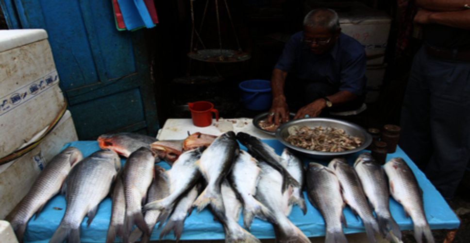 बिहार के नगर निगमों में खुलेगा फ्रेश कैच फिश आउटलेट, मिलेंगी ताजी मछलियां