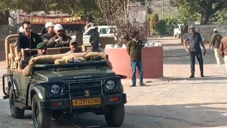 रणथंभौर में गांधी–वाड्रा परिवार की खास मौजूदगी, टाइगर सफारी के बाद आज की रात होगी बेहद खास