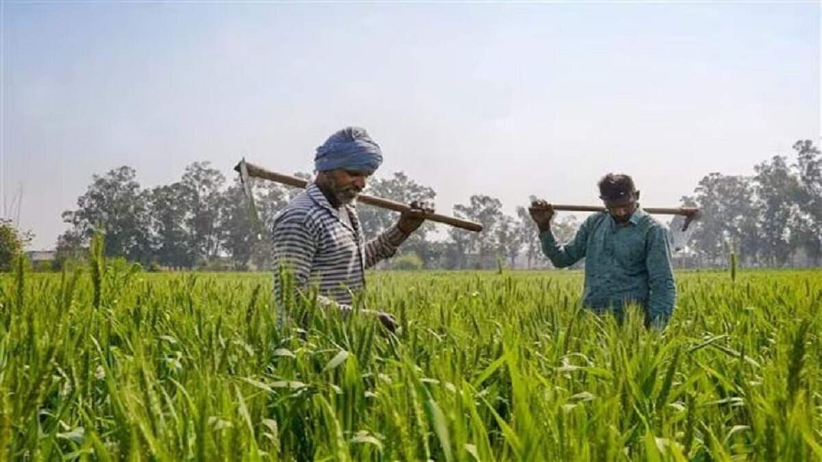 राजस्थान सरकार का बड़ा फैसला, वीडियो में देंखे किसानों को खेत तक रास्ता देने के लिए 20 फीट भूमि आवंटित होगी