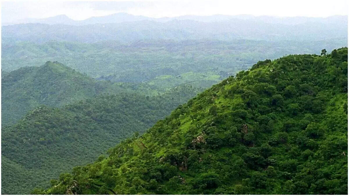 अरावली पर फैसले का पर्यावरणीय और सामाजिक असर: क्यों इसे कहा जा रहा है ‘उत्तर भारत का डेथ वारंट’, पढ़े हर जरूरी अपडेट