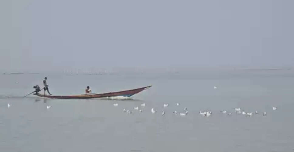 चिल्का झील में शुरू हुई डॉल्फिन गणना, 18 टीमें तीन दिन तक करेंगी सर्वे