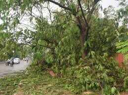 कोटा में अचानक बदले मौसम ने शादी समारोह में मचाई अफरा-तफरी, वीडियो में देंखे तेज बारिश-आंधी से आयोजन अस्त-व्यस्त