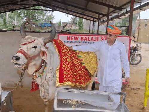 जालोर में अनोखा प्यार: 24 लाख की चांदी के गहने पहनती है गाय ‘राधा’, वीडियो में जाने बिजनेसमैन बनवा रहे 1 करोड़ का महल