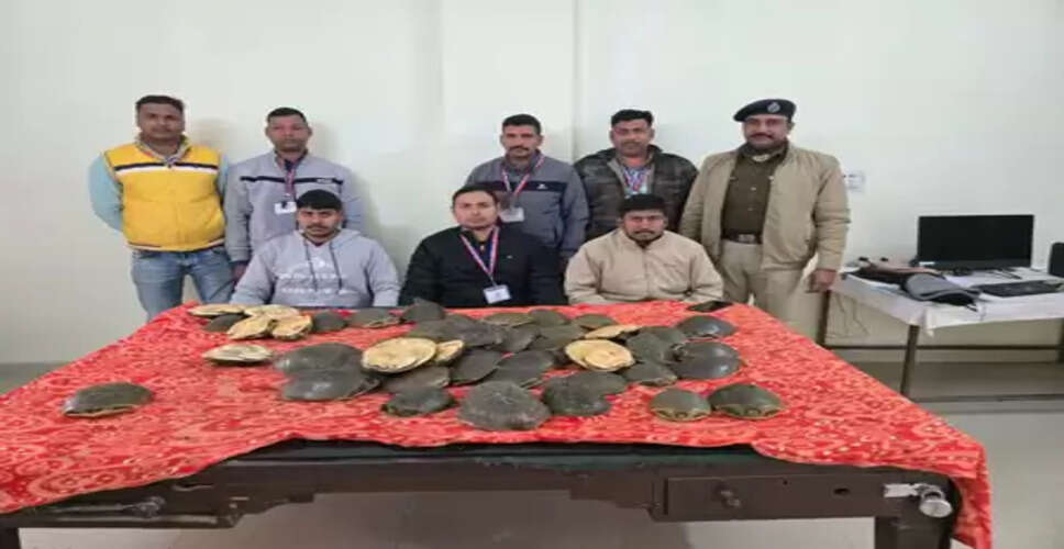 बिहार: गया रेलवे स्टेशन पर खड़ी दून एक्सप्रेस से 48 कछुआ बरामद