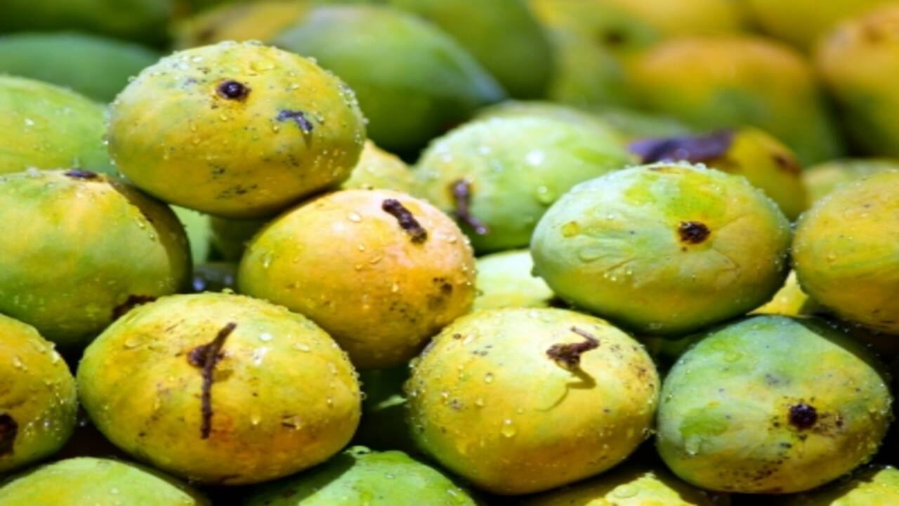 लखनऊ में सीएम योगी 'उत्तर प्रदेश आम महोत्सव' का करेंगे शुभारंभ, 3 से 5 जुलाई तक आयोजन