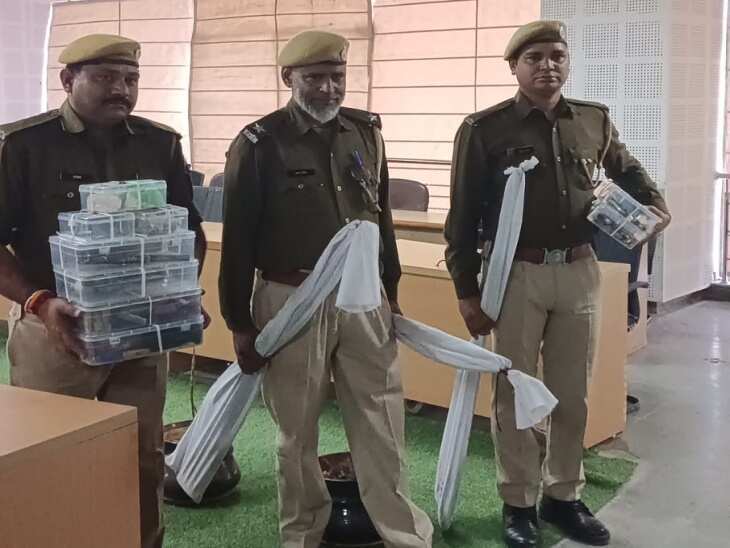 अलवर में हथियारबंद बदमाशों का तांडव, वीडियो में देंखे युवक पर जानलेवा हमला; इलाके में दहशत