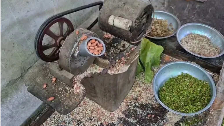 अजमेर में मिलावट रोधी कार्रवाई, “गायत्री सोहन हलवे” फैक्ट्री पर खाद्य सुरक्षा विभाग का छापा