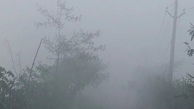 राजस्थान में पश्चिमी विक्षोभ का असर, कई जिलों में आंधी-बारिश और ओलावृष्टि से जनजीवन प्रभावित