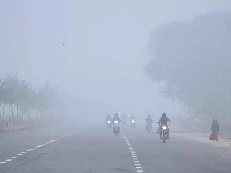 राजस्थान में बदला मौसम का मिजाज, वीडियो में देखें कड़ाके की ठंड के बाद बारिश और घना कोहरा, जनजीवन प्रभावित