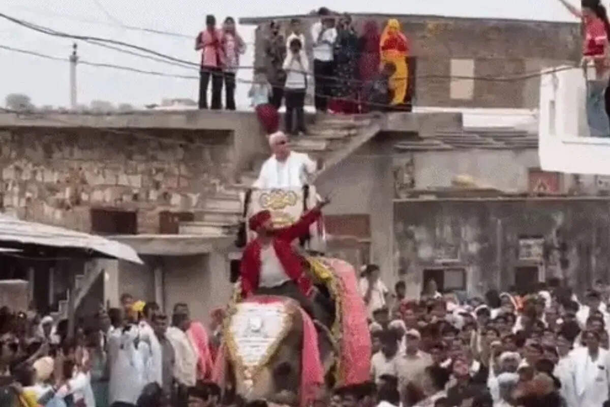 हाथी पर सवार होकर दंगल में पहुंचे कृषि मंत्री किरोड़ी लाल मीणा, वीडियो में देंखे लोक कलाकारों के साथ जमकर लगाए ठुमके