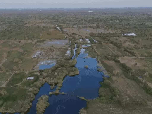 नदी के पास से इंडस्ट्री एरिया शिफ्ट करने पर विचार करे सरकार, सुप्रीम कोर्ट सख्त; अवैध उद्योगों के पूरे नेटवर्क की जांच के निर्देश