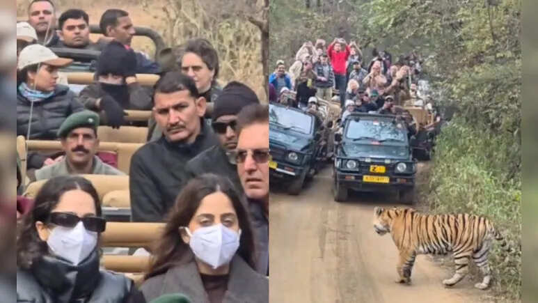 परिवार के साथ रणथंभौर में प्रियंका गांधी ने देखी बाघों की अठखेलियां, मीडिया के कैमरों बचतीं नज़र आईं