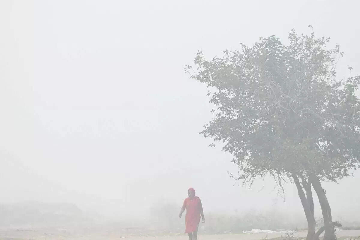 Cold Day Warning: यूपी, बिहार समेत 15 राज्यों में बढ़ेगा ठण्ड का प्रकोप,&nbsp;इन इलाकों में छाएगा गना कोहरा