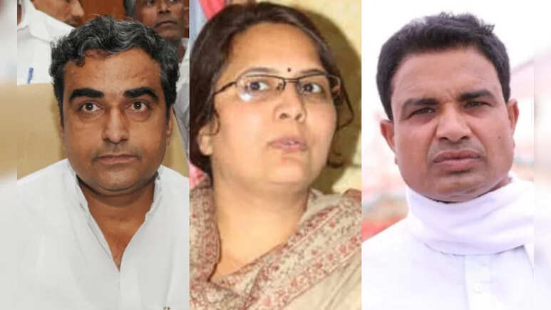 बीजेपी की नई प्रदेश कार्यसमिति, कांग्रेस से आये नेताओं को भी मिली जगह; हर जिले को प्रतिनिधित्व