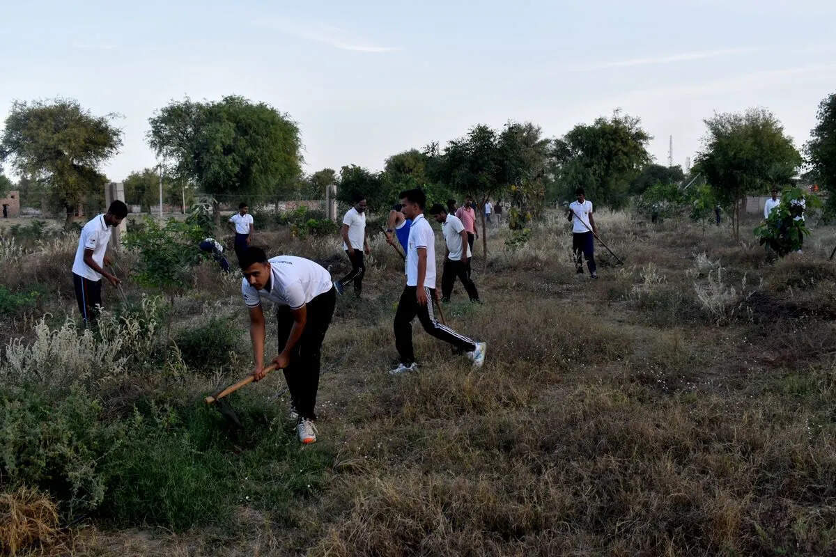 कर्पूर चन्द्र कुलिश जन्मशती पर्व: श्रमदान से जागी पर्यावरण चेतना, पौधों की देखरेख कर लिया संरक्षण का संकल्प