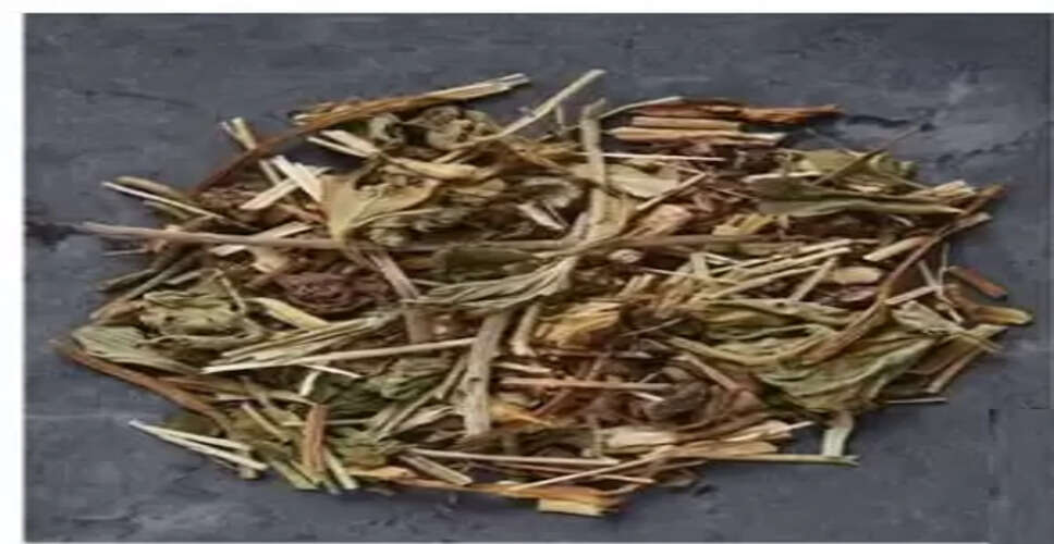 ब्राह्मी, शंखपुष्पी और अश्वगंधा का मिश्रण ओवरथिंकिंग से लेकर तनाव तक में देता है राहत