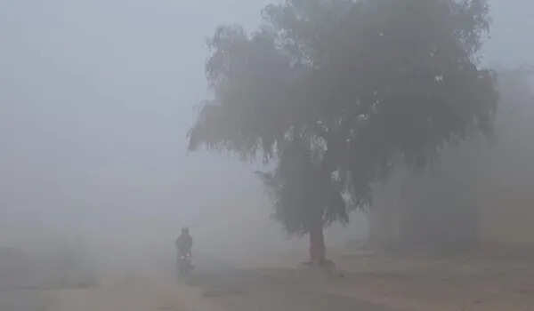 राजस्थान में वेस्टर्न डिस्टरबेंस का असर, वीडियो में जाने कुछ जिलों में हल्की बारिश और ओले, तापमान में गिरावट से राहत