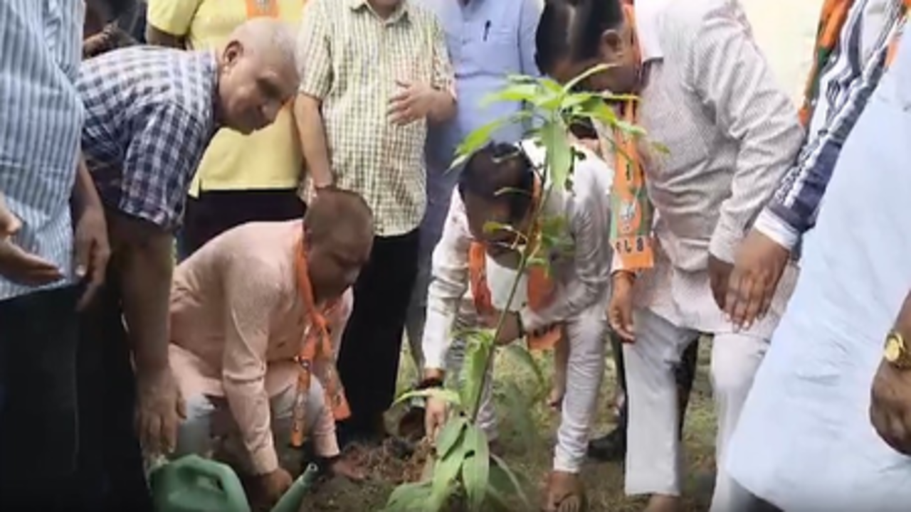 विश्व पर्यावरण दिवस पर देशभर में चलाए जा रहे अभियान, कहीं लगाए जा रहे पेड़ तो कहीं नदियां हो रही साफ