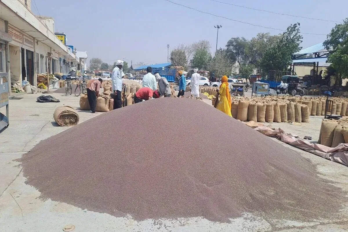 सरसों-चना की MSP खरीद के लिए 20 मार्च से पंजीकरण, 1 अप्रैल से शुरू होगी खरीद