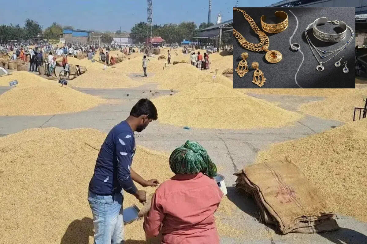 भामाशाह मंडी में 2 लाख कट्टे की भारी आवक, कृषि जिंसों के भाव में तेजी