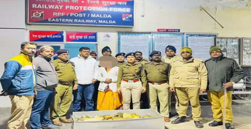 'ऑपरेशन वाइलैप' के तहत आरपीएफ की बड़ी कार्रवाई, 790 जीवित कछुओं की जब्ती, हिरासत में कई आरोपी