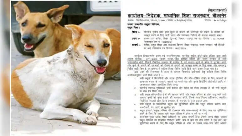 'अब कुत्ते भगाएंगे मास्टर जी!' राजस्थान शिक्षा विभाग का नया फरमान सुनकर चकराया शिक्षकों का सिर