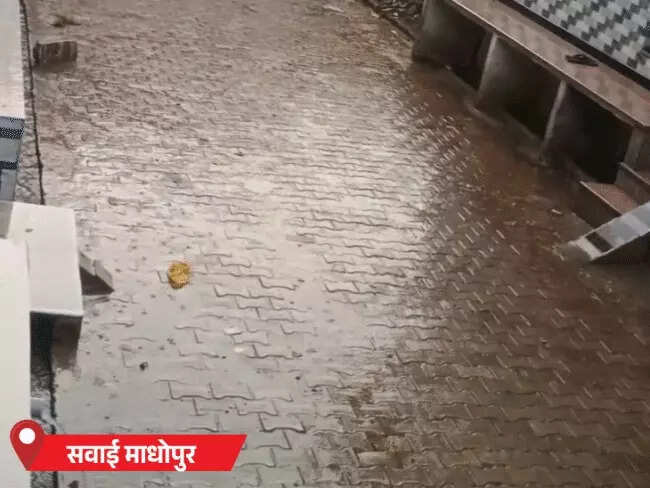 राजस्थान में वेस्टर्न डिस्टर्बेंस का असर, सवाई माधोपुर में 5 घंटे हुई बारिश; खंडार में फसलों को नुकसान की आशंका