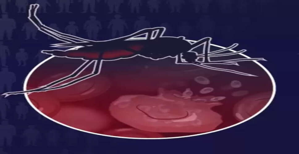 2024 में मलेरिया के कारण 6 लाख से ज्यादा लोगों ने गंवाई जान, ड्रग रेजिस्टेंस बड़ी वजह: डब्ल्यूएचओ