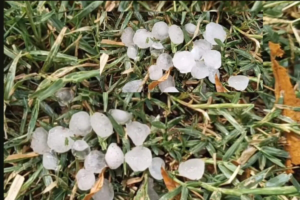 राजस्थान में पश्चिमी विक्षोभ का असर, कई जिलों में आंधी-बारिश और ओलावृष्टि से जनजीवन प्रभावित