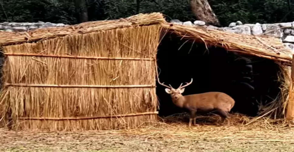 पंजाब के चिड़ियाघर में जानवरों के लिए हीटर और फूस की छत की व्यवस्था