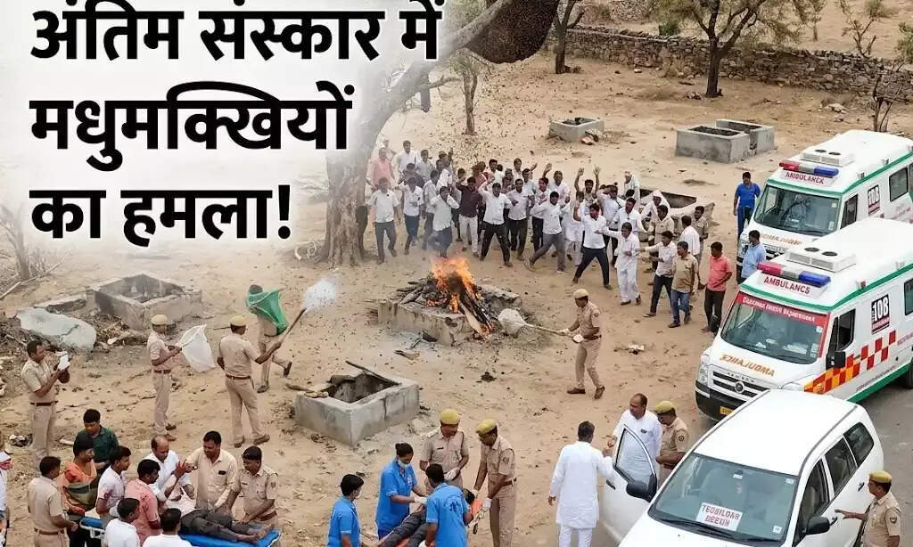 चित्तौड़गढ़ में मधुमक्खियों का हमला, वीडियो में देखें अंतिम संस्कार के दौरान एक और मौत; 50 लोग घायल