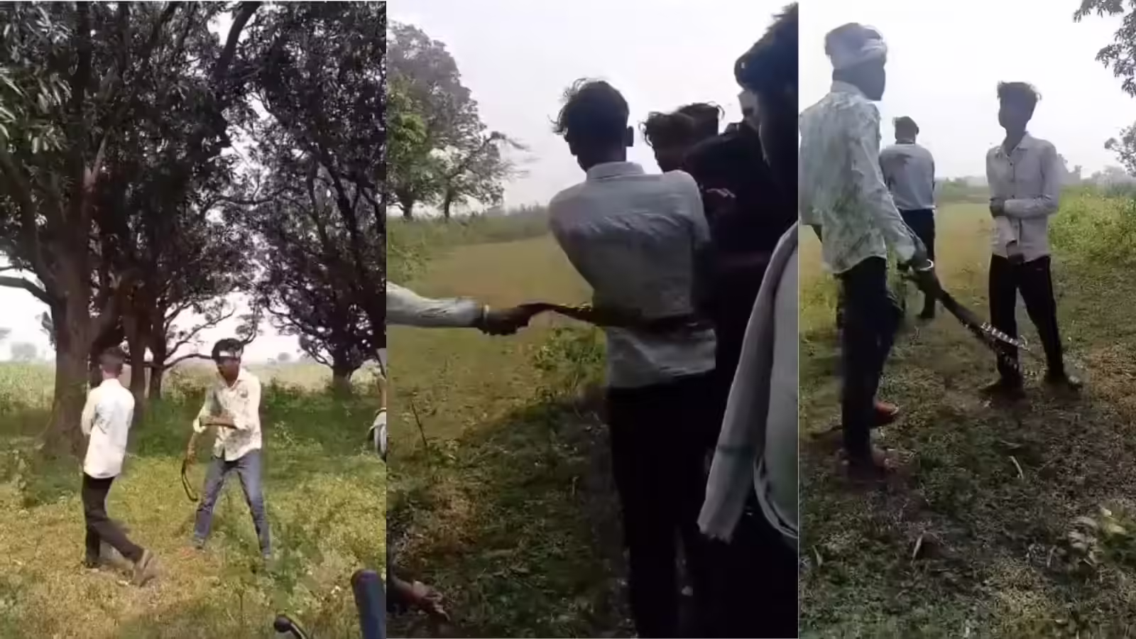 पेड़ काटने के विवाद ने लिया हिंसक रूप: युवक को पेड़ से बांधकर बेरहमी से पीटा, वीडियो वायरल