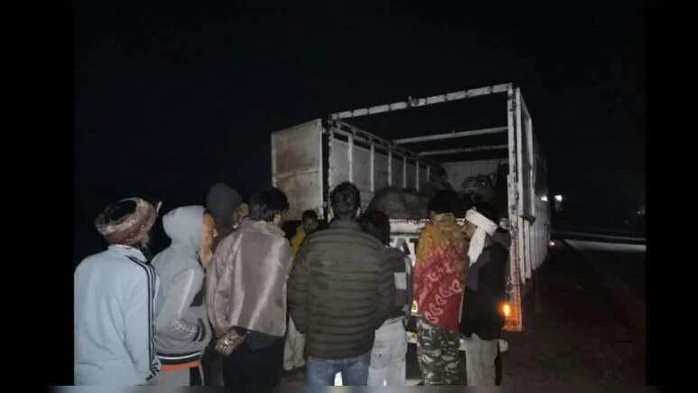 झुंझुनू में ऊंटों की तस्‍करी, नागौर से मेवात लेकर जा रहे थे, 8 ऊंट बरामद