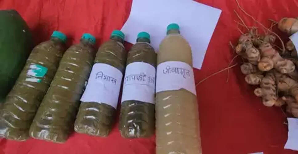 भागलपुर में प्राकृतिक खेती को बढ़ावा: छोटे किसानों को प्रति एकड़ सहायता राशि और प्रशिक्षण दे रही सरकार