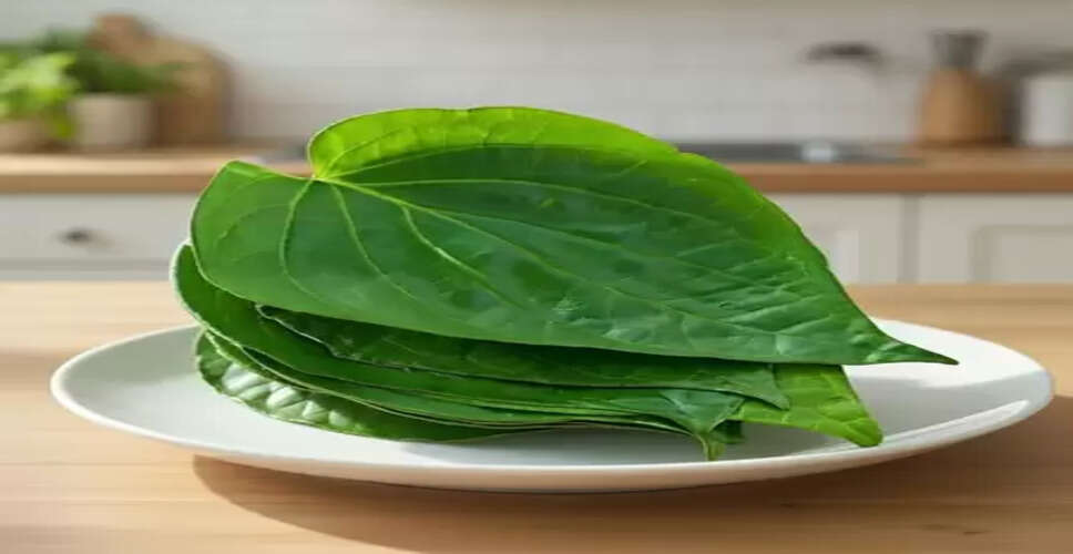 तला-भुना खाना सेहत को पहुंचा रहा नुकसान? पान का पत्ता पाचन तंत्र को कर सकता है मजबूत