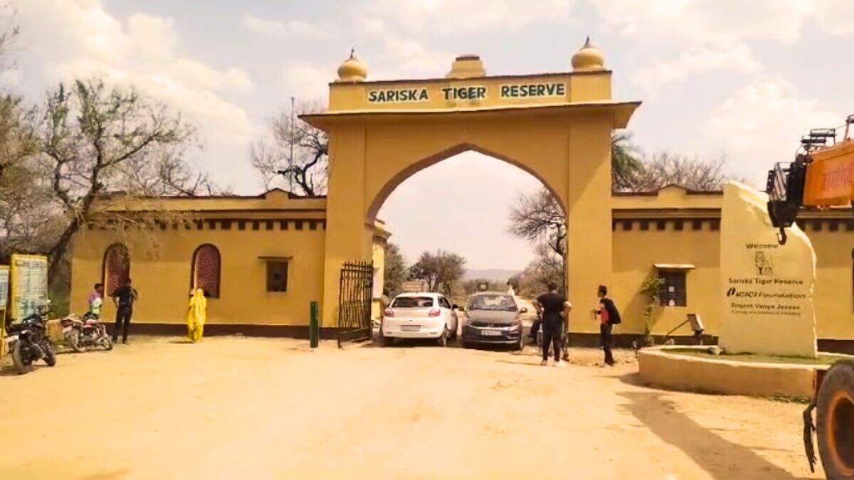 अलवर में सरिस्का टाइगर रिजर्व के भीतर अवैध खनन पर कार्रवाई के दौरान पुलिस टीम पर हमला, एक्सक्लूसिव फुटेज में देंखे दो कॉन्स्टेबल घायल