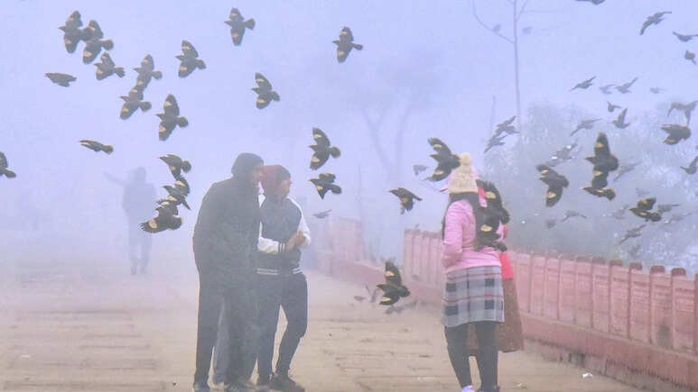 रेगिस्तान में ठंड का कहर, शीतलहर और घने कोहरे की चपेट में राजस्थान, इन जिलों में ऑरेंज अलर्ट जारी