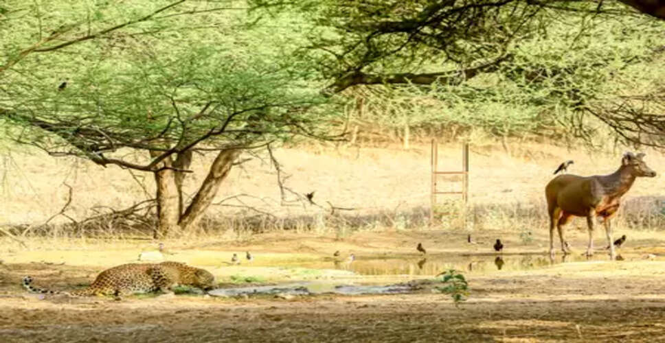 ग्वालियर: तिघरा बांध क्षेत्र को जैव विविधता क्षेत्र बनाएंगे पुलिस के जवान