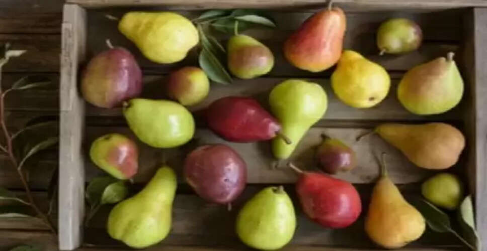 पाचन से जुड़ी बीमारियों का काल है नाशपाती, जानें सेवन के फायदे और नुकसान