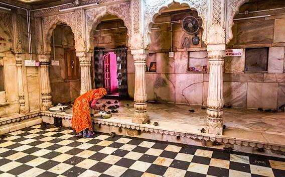 VIDEO बीकानेर का करणी माता मंदिर क्यों है दुनिया में अनोखा, 25 हजार चूहों से जुड़ी है सदियों पुरानी धार्मिक मान्यता