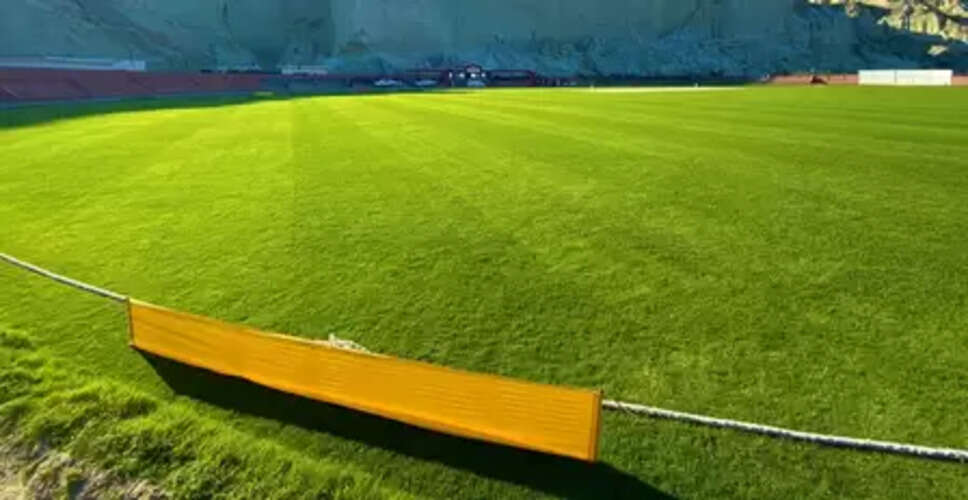 पाकिस्तानी मूल के क्रिकेटर का दावा झूठा! वीजा में देरी हुई, भारत ने मना नहीं किया है