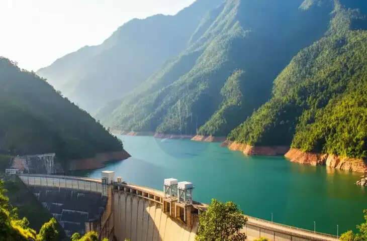 आखिर क्यों सैकड़ो प्रवासी पक्षियों की मौत ने बढाई प्रसाशन की चिंता, लिक्ड फुटेज में हुआ चौकाने वाला खुलासा