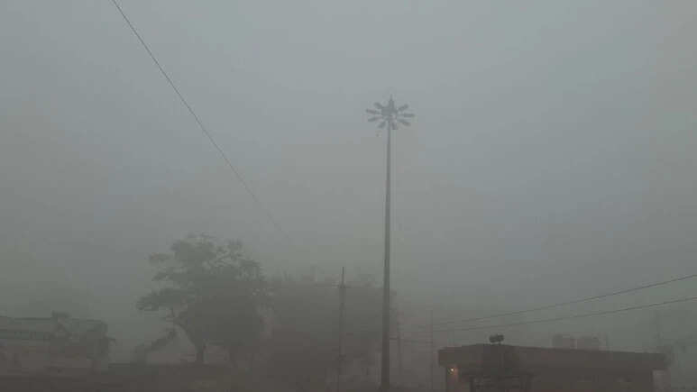 राजस्थान में ठंड और कोल्ड वेव का असर, नए वेस्टर्न डिस्टर्बेंस से हल्की बारिश की संभावना