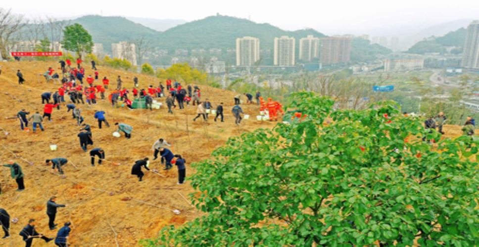 दुनिया में सबसे अधिक और सबसे तेज हरियाली दर वाला देश बना चीन