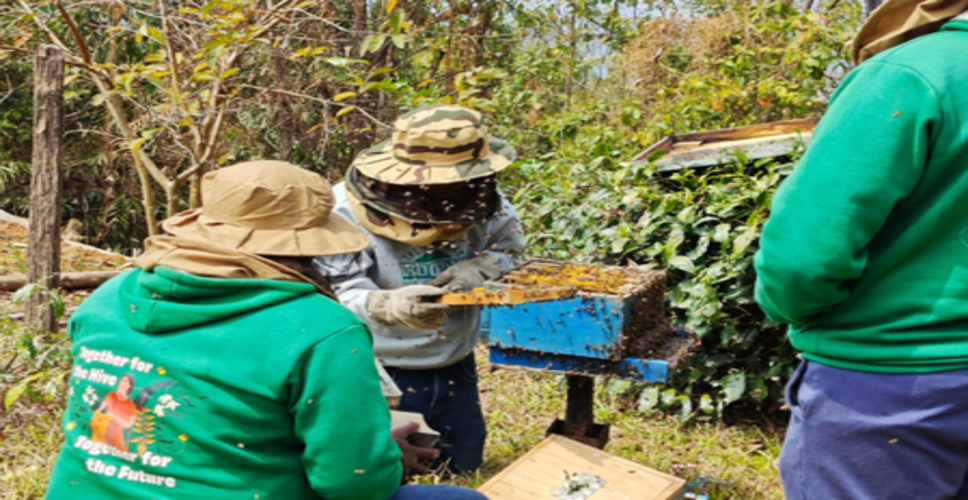 मणिपुर: पीएम धन धान्य योजना के तहत शहद उत्पादन क्रांति लाने को तैयार तामेंगलोंग जिला, 1000 लीटर मासिक लक्ष्य