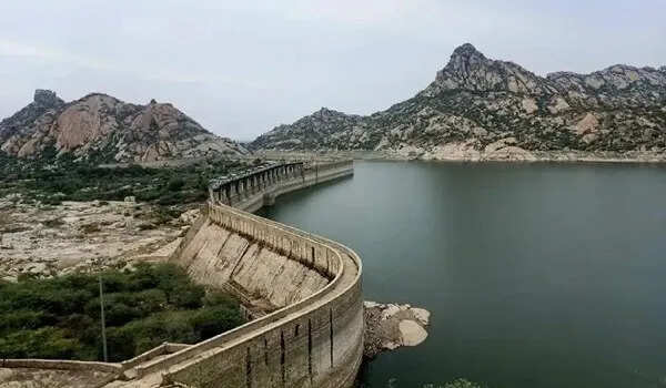 जाने राजस्थान का सबसे बड़ा बांध कैसे बना जंगली जानवरों का घर, वीडियो में जाने इस खूबसूरत जगह के बारे में