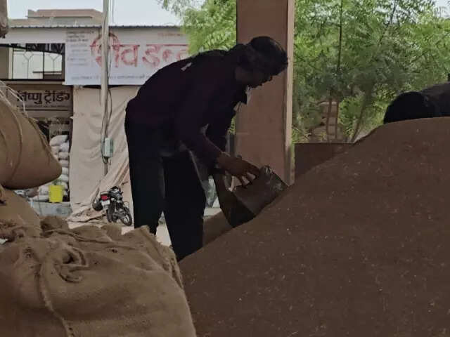 नागौर मंडी में मसाला फसलों में तेजी, जीरा स्थिर; सौंफ-इसबगोल में जोरदार उछाल, मूंग 1200 रुपए तक टूटी