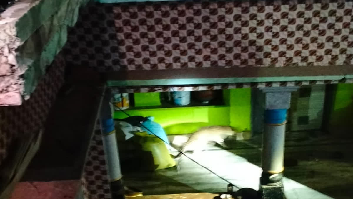 भरतपुर में लेपर्ड की पीट-पीटकर हत्या: वीडियो में जाने 17 नामजद समेत 50 अज्ञात पर FIR, वन विभाग की सख्त कार्रवाई
