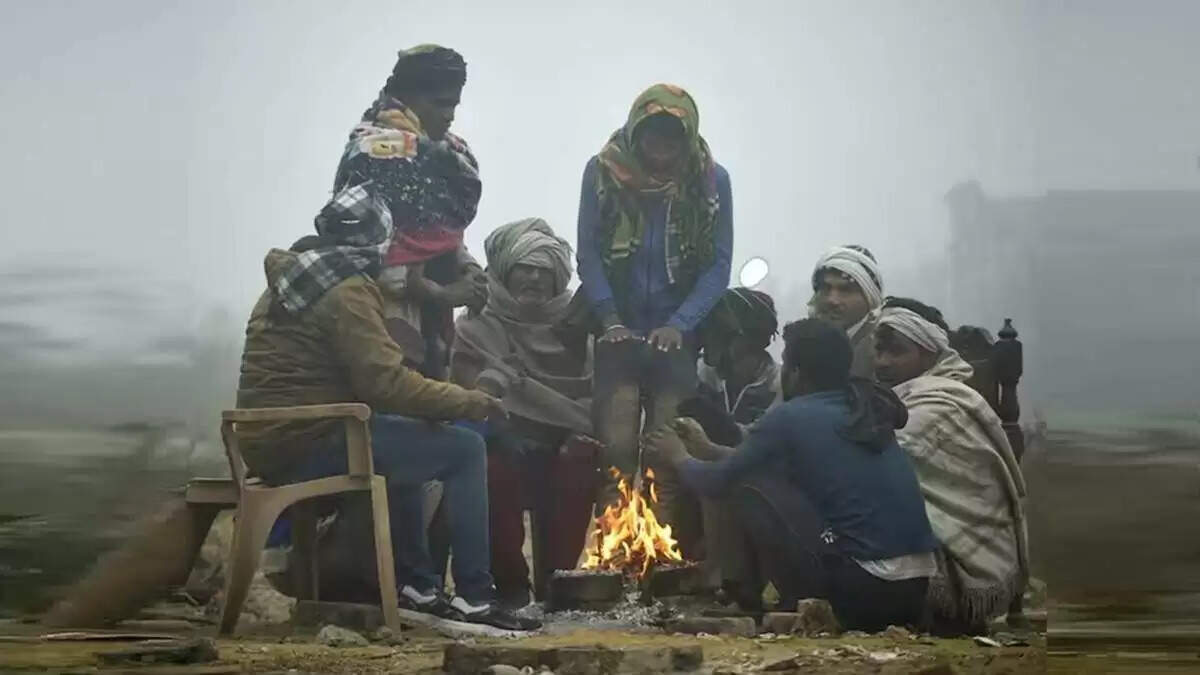 राजस्थान में ठंड का कहर जारी, फुटेज में जानें घने कोहरे से जनजीवन प्रभावित, कई इलाकों में तापमान शून्य से नीचे